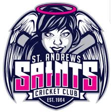 Image result for Cranleigh St Andrews Cricket Club