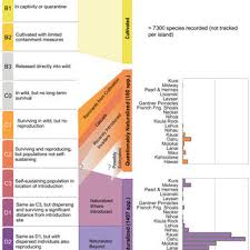 Attēlu rezultāti vaicājumam “Reticularia jurana”