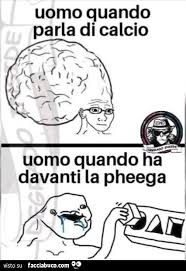 Image result for pheega