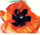 Georgia O'Keeffe - Poppy 1927
