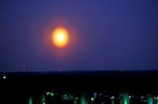 Attēlu rezultāti vaicājumam “pollen corona”