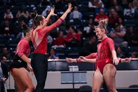 Image result for Jayenell Gymnastics Club