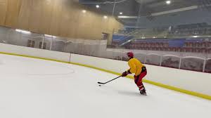 Image result for Streatham Youth Ice Hockey Club