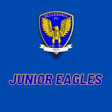 Image result for Junior Eagles Fc