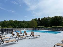 Image result for Dearne Valley Swimming Club