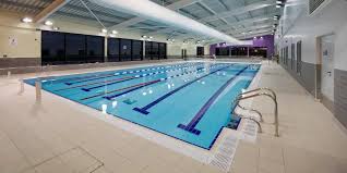 Image result for Dearne Valley Swimming Club