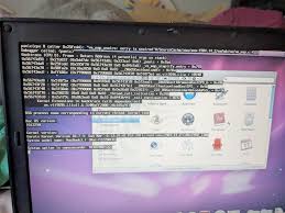 Image result for kernel panic snow leopard
