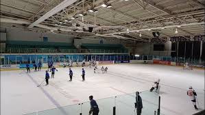 Image result for Basingstoke Buffalo