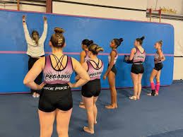 Image result for Pegasus Trampoline Club