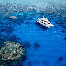 Image result for Seaquest Divers