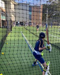 Image result for Waverley Cricket Club