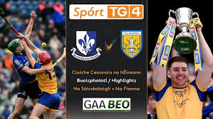 Image result for Sarsfields Hurling Club