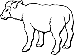 Image result for sheep coloring page
