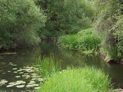 Image result for Plough Angling Society