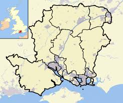 Image result for Basingstoke Demons Floorball Club