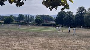 Image result for Overbury Cricket Club