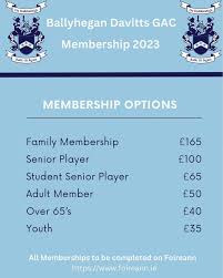 Image result for Ballyhegan Davitts Gaa Club