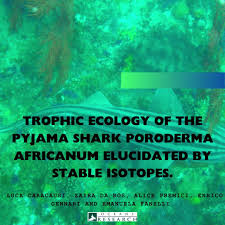 Image result for Poroderma africanum