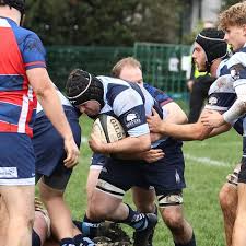 Image result for Sandown Sports Club