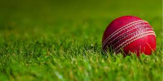 Image result for Redlynch and Hale Cricket Club