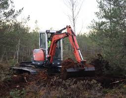 Attēlu rezultāti vaicājumam “Trilophozia quinquedentata”