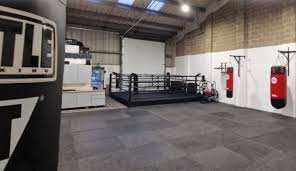 Image result for Demon Gym