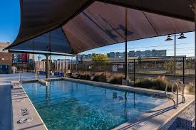 Image result for Lutterworth Swimming Club