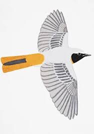 Attēlu rezultāti vaicājumam “Phoenicurus phoenicurus male”