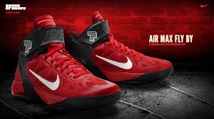 HoH: Nike Air Max Fly By - Brandon Roy Player Edition | Sole Collector - nike-air-max-fly-by-brandon-roy-player-edition-hoh-02