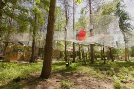 Image result for Go Ape! Alice Holt