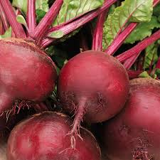 Image result for Beta vulgaris