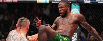 Image result for Bristol Dojo MMA