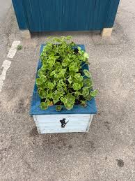 Image result for Lytchett Manor Smbc