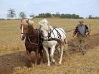 Agricultural Law: UN Commission on the Status of Women Addresses ...