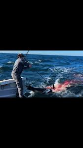 Image result for Braintree Sea Angling Club