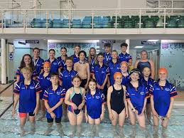 Image result for Kingsbridge Kingfishers Swimming Club