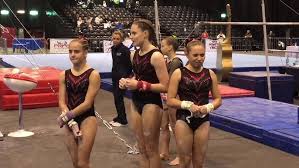 Image result for Tamworth Olympic Gymnastics Club