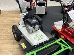 Image result for etesia tehron