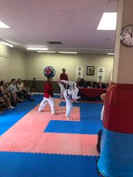 Image result for Cornwall Tae Kwon-Do