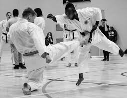 Image result for Wanstead JuJitsu Club