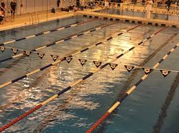 Image result for Stevenage Swimming Club