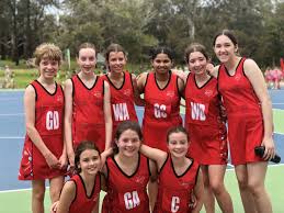 Image result for Waverley Netball Club