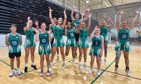 Image result for Ipswich Ladies Netball Club