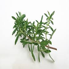 Image result for Bohnenkraut