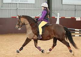Image result for Fife Riding Club