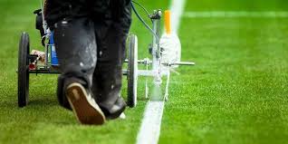 Image result for Pitch marking blog