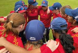 Image result for Benfleet Cricket & Social Club