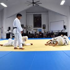 Image result for Halewood Inclusive Judo Club