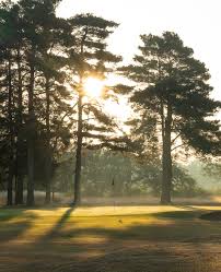 Image result for Newark Golf Club Co Ltd