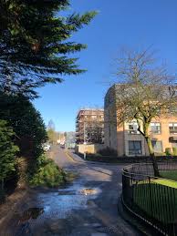 Image result for Milngavie Bowling Club